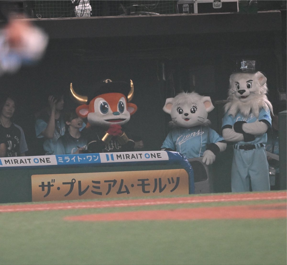 Dra_pyon's tweet photo. トレインレースのためにライオンズ側にいたのだけど、ライオンズチャンスタイムになってしまい、いたたまれない上に祈っているブルくん https://t.co/VocnSnAuMD