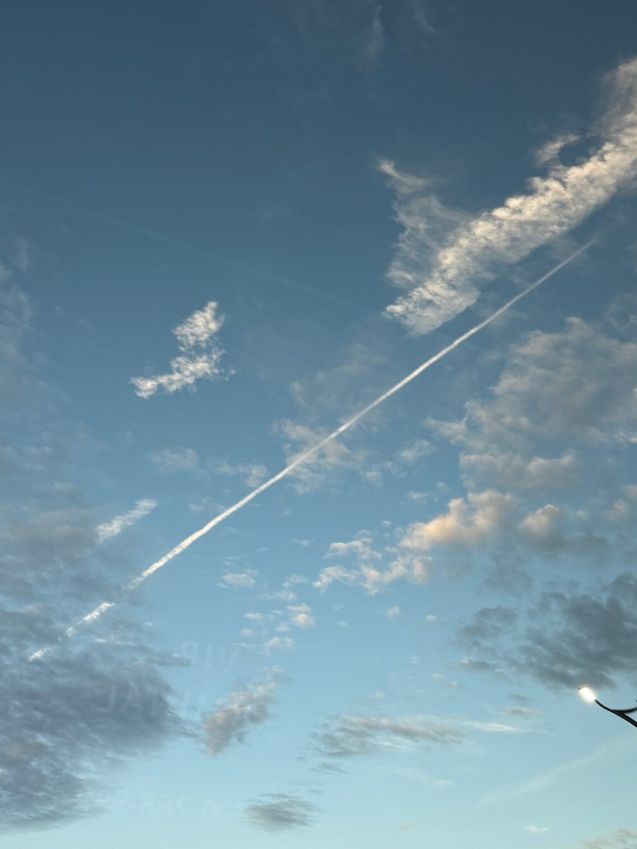 hamtext's tweet photo. 260803 🐹💬

- 📸
“now i've developed the habit of taking a picture whenever i see roses🌹”
- 📸
“this is a picture i took of the sky after i suddenly thought of the word fate” https://t.co/27UqI0EBuD