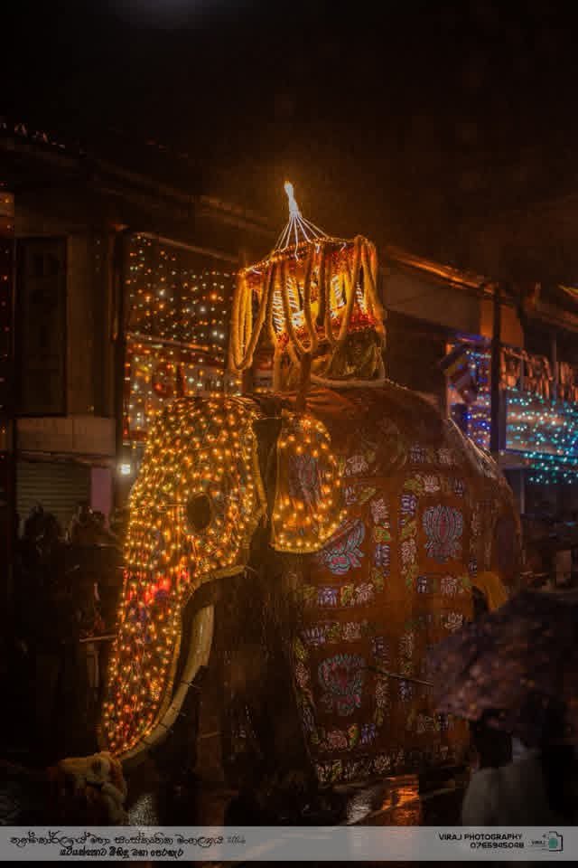 rsutharshan1111's tweet photo. තුන්කෝරලයේ මහා සංස්කෘතික මංගල්‍යය✨🇱🇰
යටියන්තොට මිහිදු පෙරැහැර 2026 https://t.co/FCbrKZrb6k