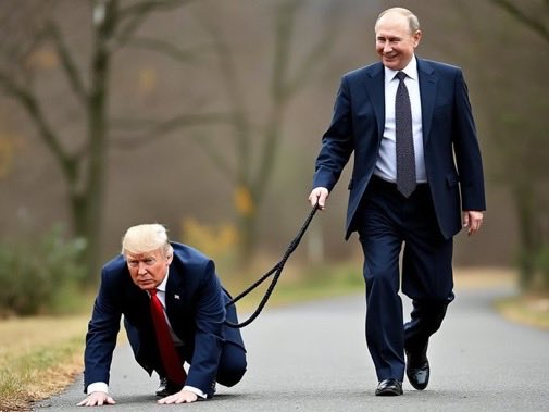 AlexandreGeren6's tweet photo. @rshereme Trump is Putin's slave. He has plenty of money and the Epstein list, making him a lackey for the Genocidal Maniac of the Kremlin. https://t.co/maiURgk3gE