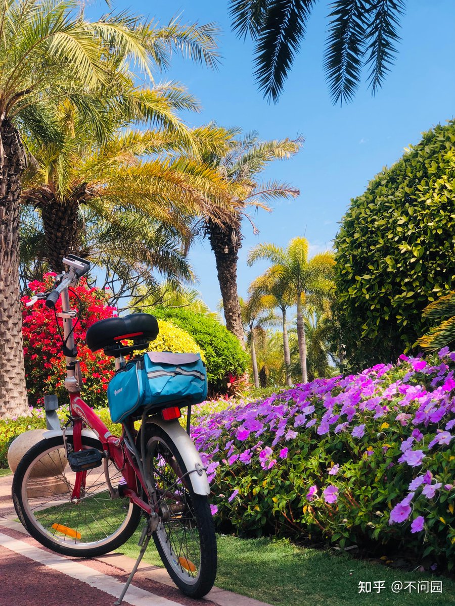ossa141's tweet photo. Bright spring blooms + sunny skies = perfect Sunday stroll! https://t.co/DLF6KztIfA