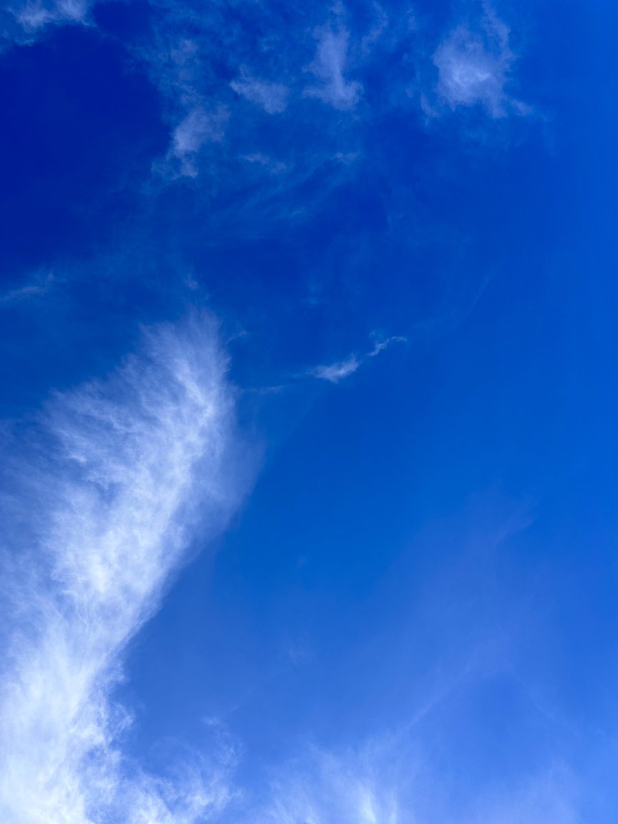 Korosuke74's tweet photo. 青モグだぁ!!
 #空  #雲  #青モグ https://t.co/bZdrZkN0LI