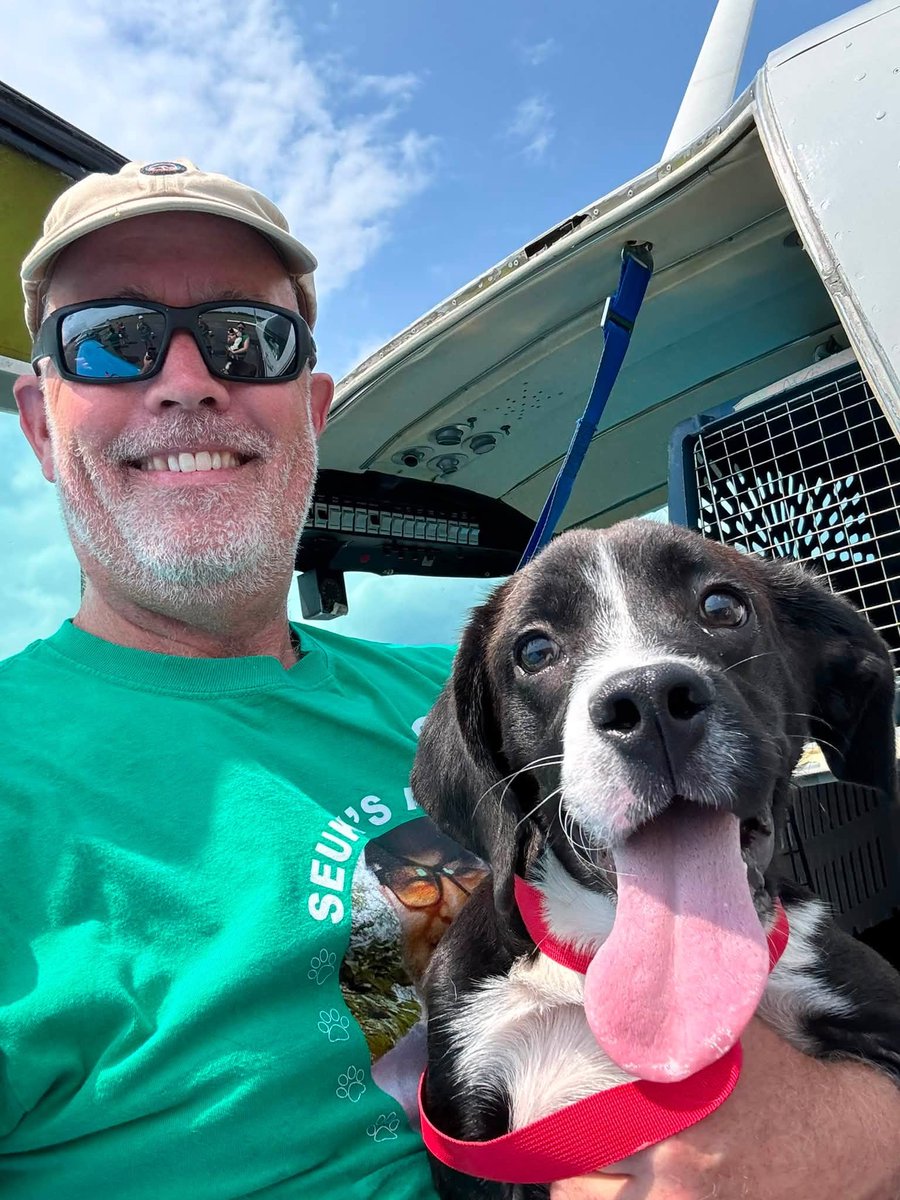 PilotsNPaws's tweet photo. If Kley Parkhurst isn't doing #AngelFlights for medical emergencies, he's doing #FreedomFlights for abandoned animals with #PNP: Kley says, "I wish every pilot would fly benefit flights so my future complaints would be I can't get any flights because they're all taken." #angels https://t.co/JTU32ljZXU