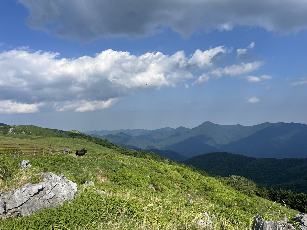 _ma07_on's tweet photo. 四国一人旅

・四国カルスト 天狗高原 https://t.co/Mg50EKfg0O