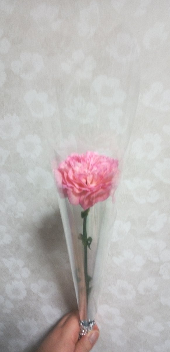 azami_hoshino's tweet photo. 今日は母・星野あざみの命日です。

お花が好きだったので、アレンジメントを飾りました。花屋さんのくじが当たって、可愛いカーネーションもいただきました。今回は両方ともあえて明るい色の花を選びました。なんだか良い風が吹きそうな予感がするね、と母と話し合っているような気持ちになれました。 https://t.co/W2Ev7Gg6ai