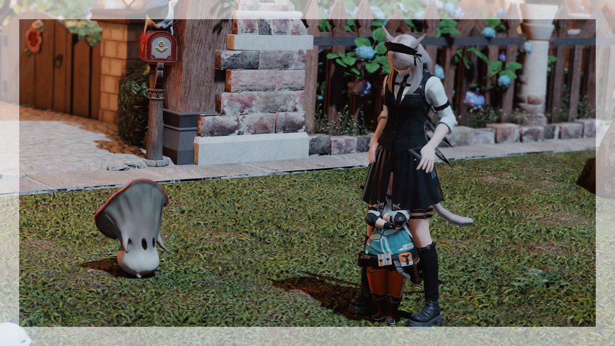 0peco_'s tweet photo. https://t.co/JxagQFEU0E