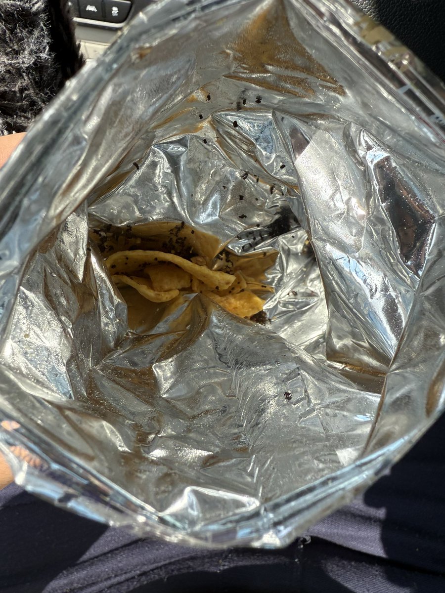 HooveLocks's tweet photo. Just ate a bag of @Fritolay only to realize there were dead ants all over the bottom of the bag and I’ve been eating them 😭

I just yakked in the parking lot 🤮 https://t.co/5GXseZiC5J