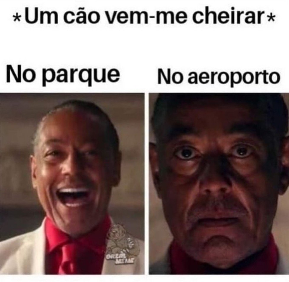 TerrorCotidiano's tweet photo. https://t.co/KhPH5occz1