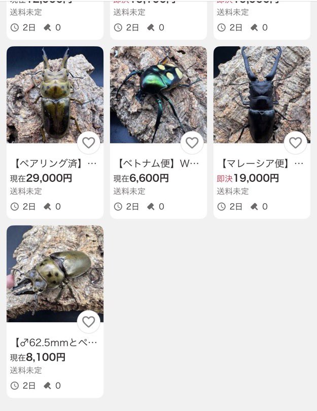 かぶぶくわわ (@mushi_lowkun) / Posts / X