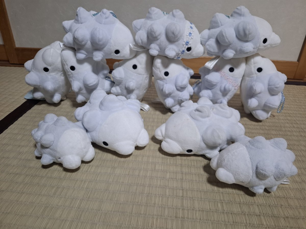 twin_city12's tweet photo. #ユキハミの日

我が家のはみたちで、組体操ならぬ
＼はみ体操／ https://t.co/wLrNCyuEj1