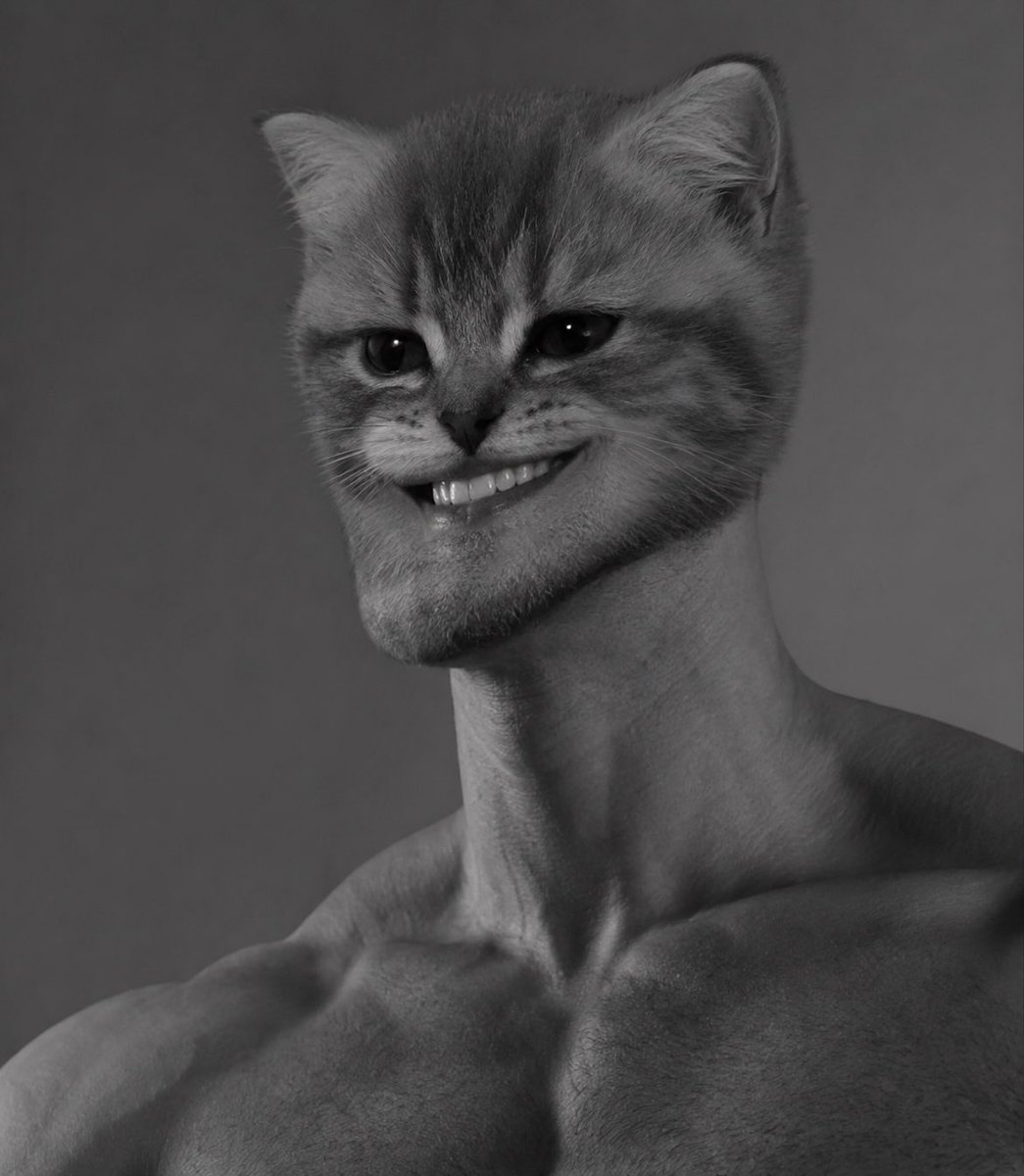 CallMeCeres's tweet photo. $wiwiwi holders are the real chads 🗿 https://t.co/75Z9EzXR5x