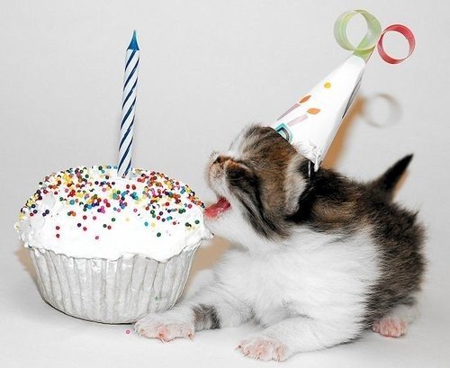 9rim7errors's tweet photo. @dykeimedias Happy birthday!!!!! #birthdaytwt #birthdaycore #youreoldasf #happybirthday https://t.co/7XqlQEB5if