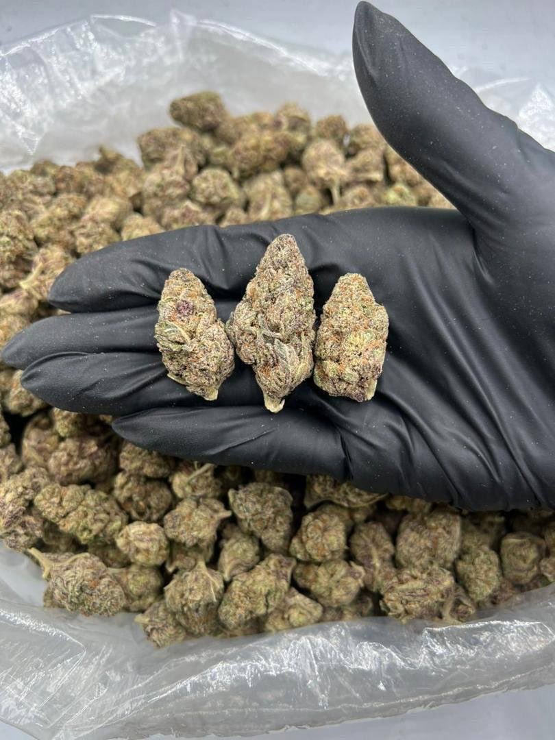 XthaPlug001's tweet photo. CANDY CLOUDS 🌧️✅

Tap in ‼️
Actively replying DMs📲
Delivery 🚚💨
#Dallas #DTX #DallasFreaks #DallasMeetups #DallasMeets #texas #texasgirls #dallasgirls #Dallasdowntown #ATX #Dallasweed #DallasPlug #DallasCowboys   #Zaza #Exotics #ZaTWT https://t.co/Uknbxuaqnt