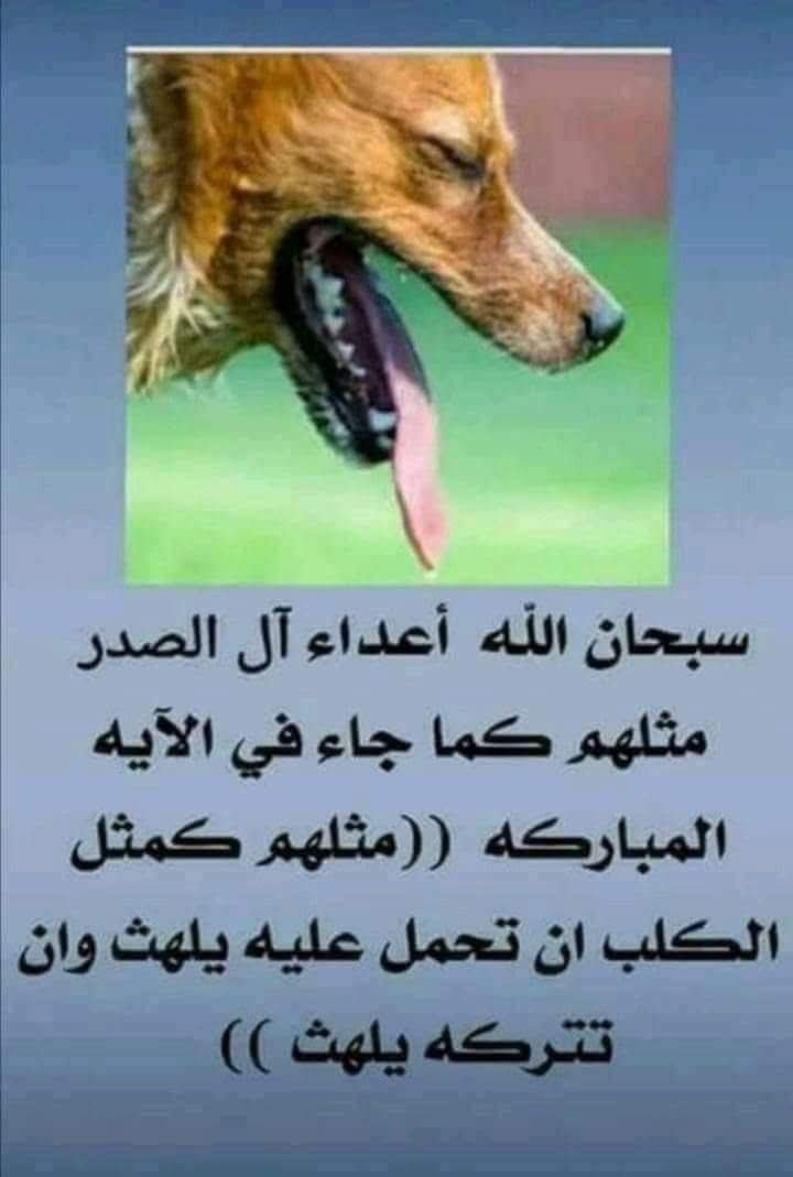 BaqrAlkr's tweet photo. @alsafi_husien https://t.co/j1hw8kG7fK