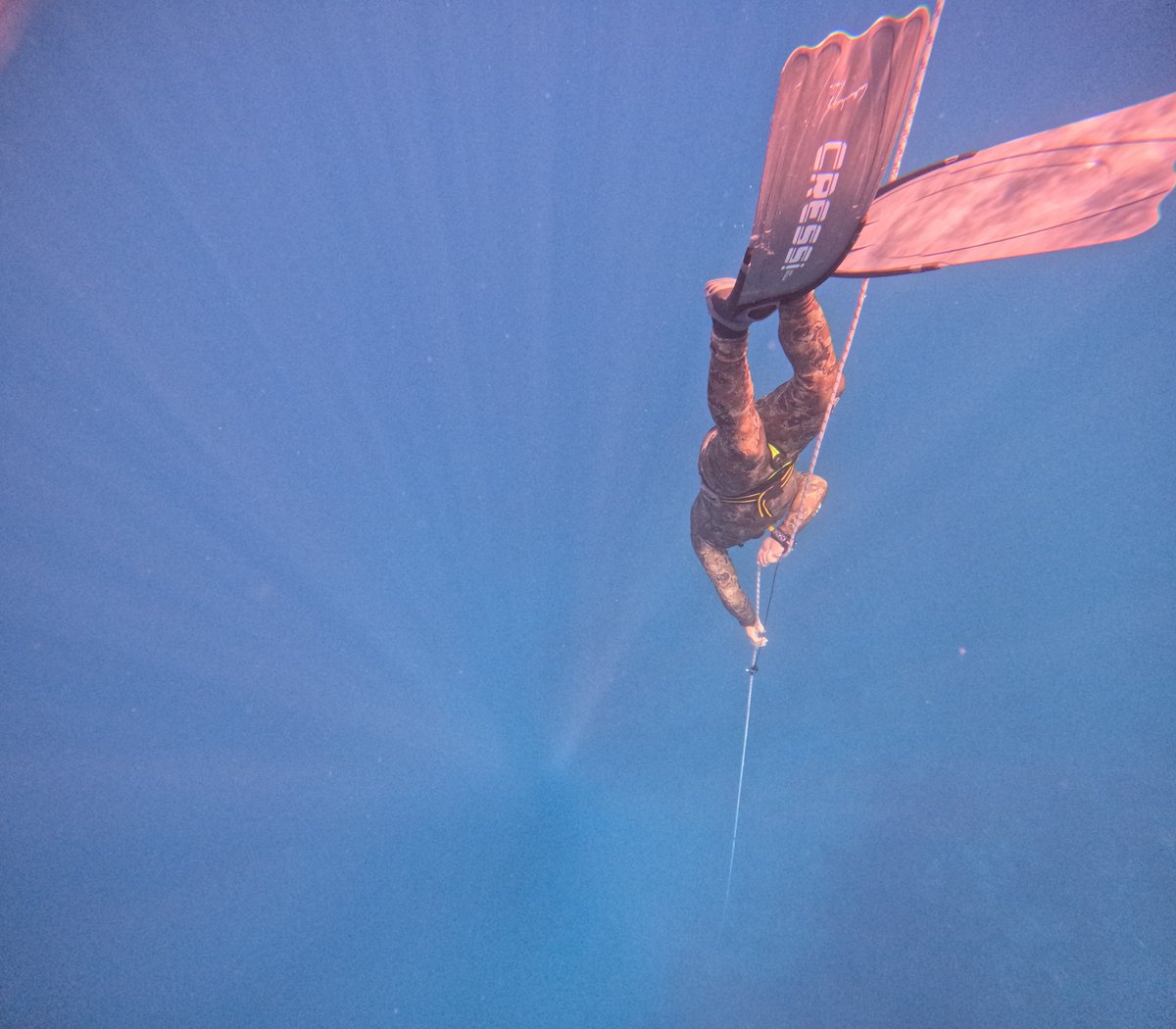 Freedive_Lamia's tweet photo. https://t.co/Y0lmoab2UV https://t.co/yoDySH5B2c