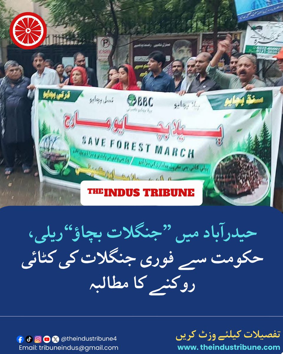 theindustribune's tweet photo. #Hyderabad #Sindh #SaveForests #SaveSindh #ClimateChange #Environment #ForestProtection #TheIndusTribune #titdigital https://t.co/f8nNv7L2Aa