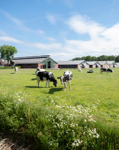 salemC0philliID's tweet photo. 本日はバンドのスタジオでした！ 演奏動画用の素材を沢山撮りましたよ！ https://t.co/N4vluTH6sJ