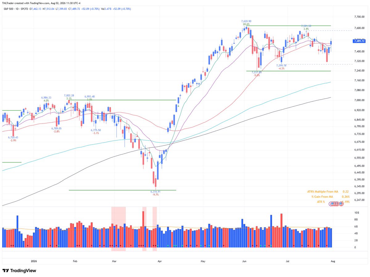 TML Trader tweet media