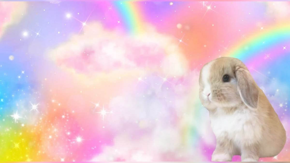 swugrbunnie's tweet photo. my life https://t.co/ldpjNkGLPO