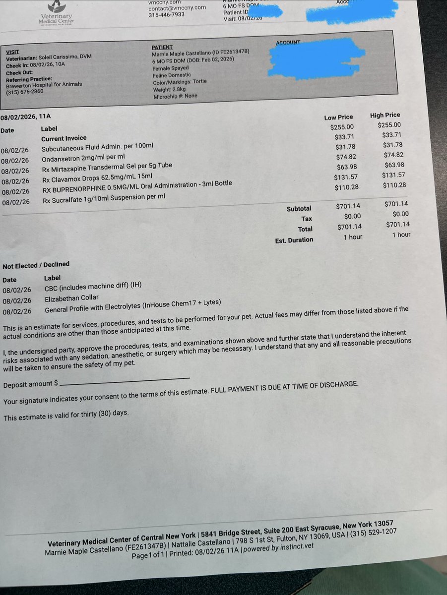 puppychomp's tweet photo. our kittens vet bill from the emergency vet

i think she has calicivirus but they said they dont think so, but our other cat is showing symptoms now too. we can barely afford it and we would genuinely appreciate any help. 

i can also do literally any art. please share this https://t.co/AutuMYZiZ6