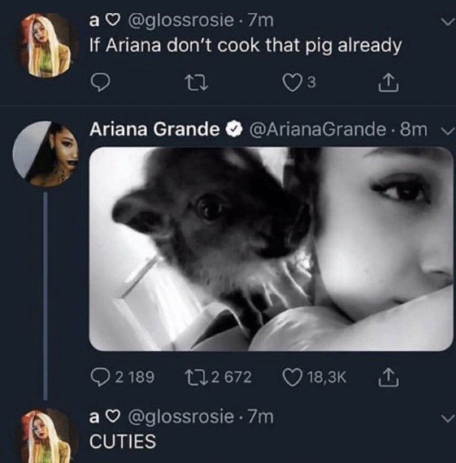 marveloushp's tweet photo. this tweet was so iconic whatever happened to the funny ariana pages, rip dorothy and glossrosie 😢 #ripariana #streampetal https://t.co/3VVftt2E4k