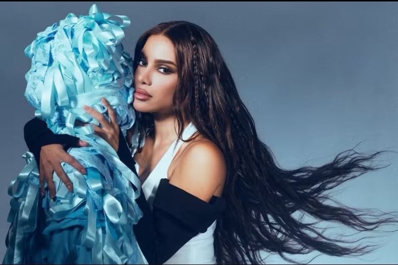 Anitta Analytics tweet media