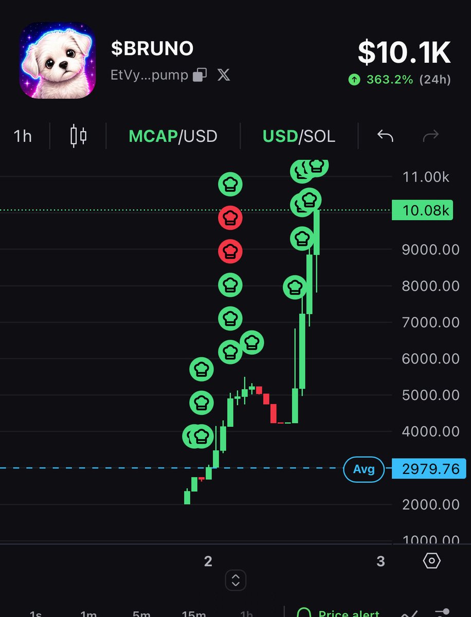 BrunoVibesCoin's tweet photo. @selor Can be if you get in $BRUNO early fam https://t.co/rpGWtczlT2