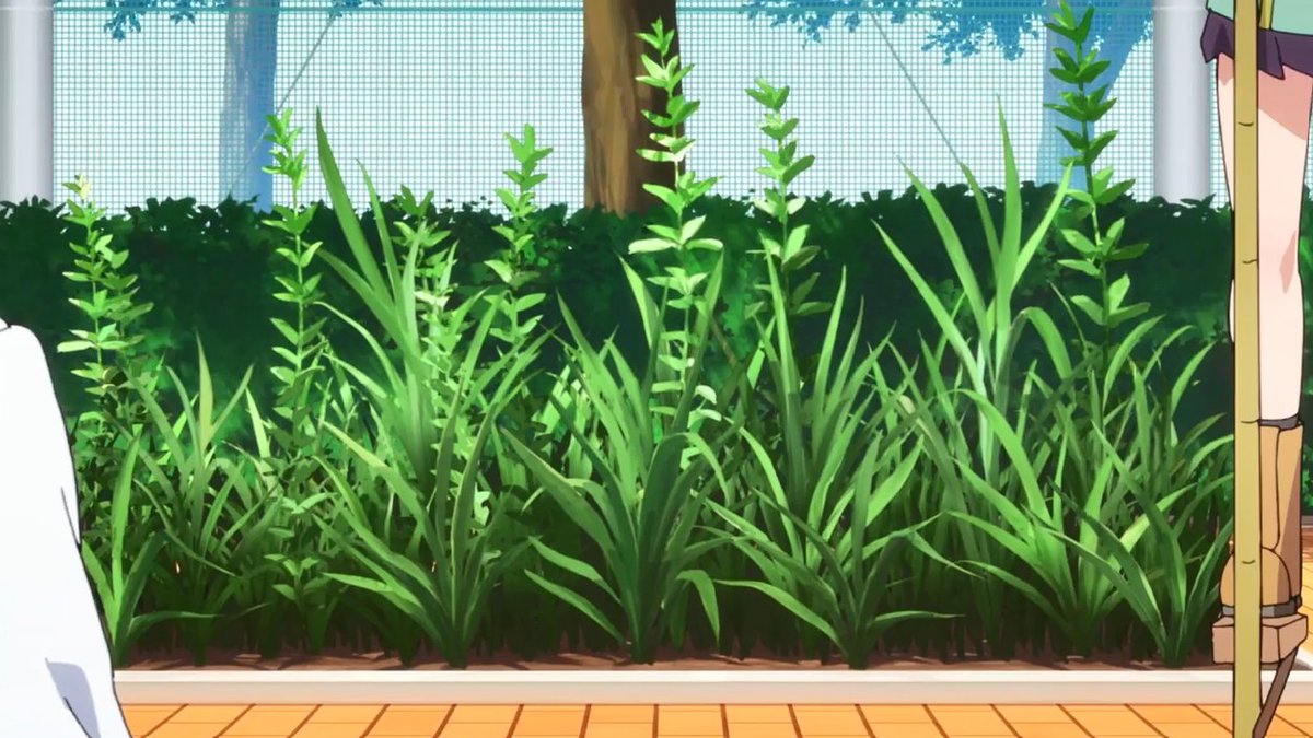 556LITA's tweet photo. ５話は野菜や植物の作画が気合入っていて生きているど
 #アニメ100カノ https://t.co/xZeKpXsbPd