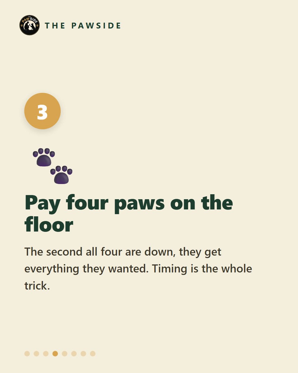 thepawside's tweet photo. Stop the jumping, in 6 fixes 🐶

Zero attention. Turn away, don't push. Pay four paws on the floor. Teach a sit at the door.

Full plan: https://t.co/t8eEVMEtgX https://t.co/wn7E1TjqL9