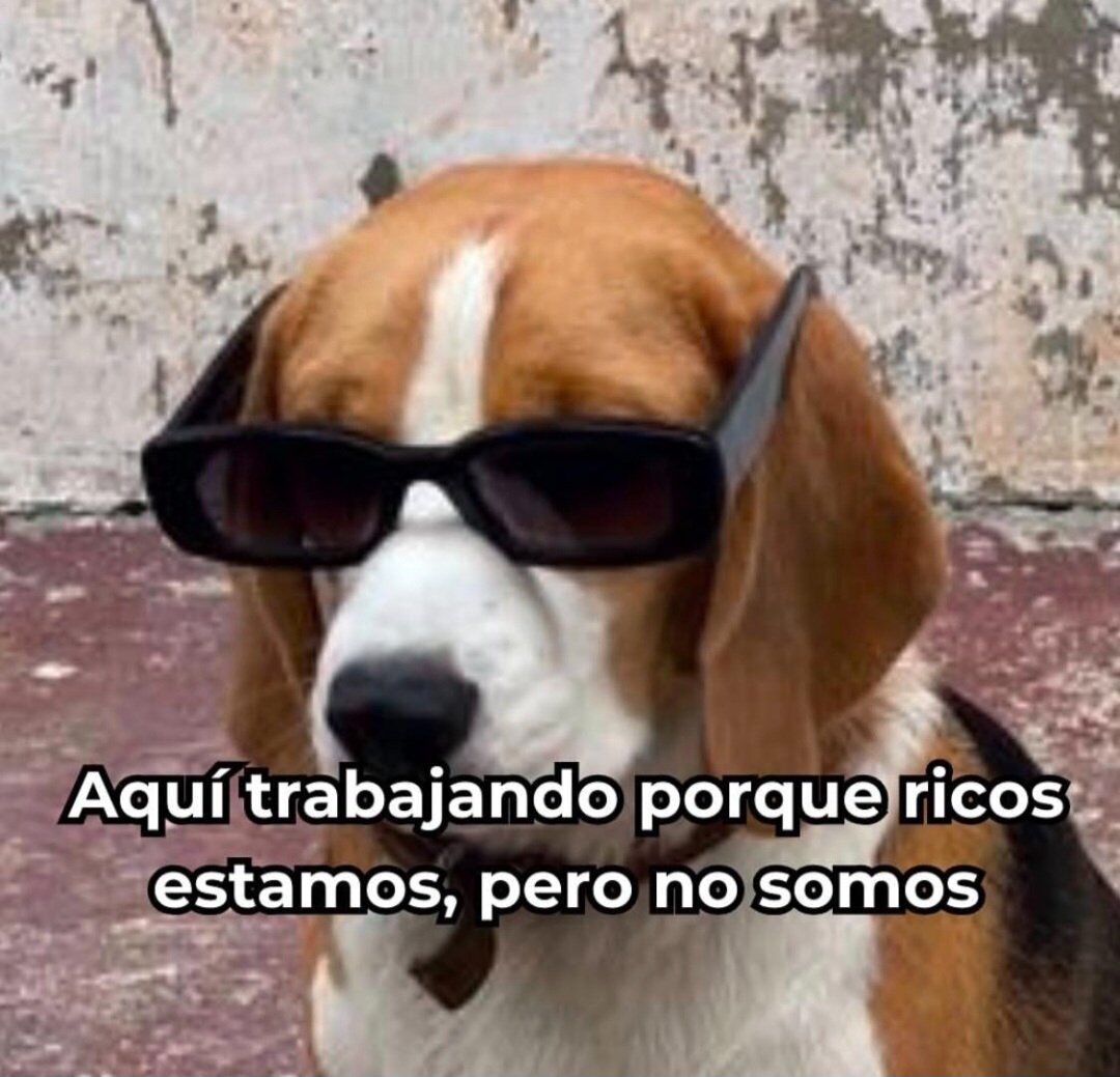 flanchota's tweet photo. https://t.co/JtPNeeQmJm