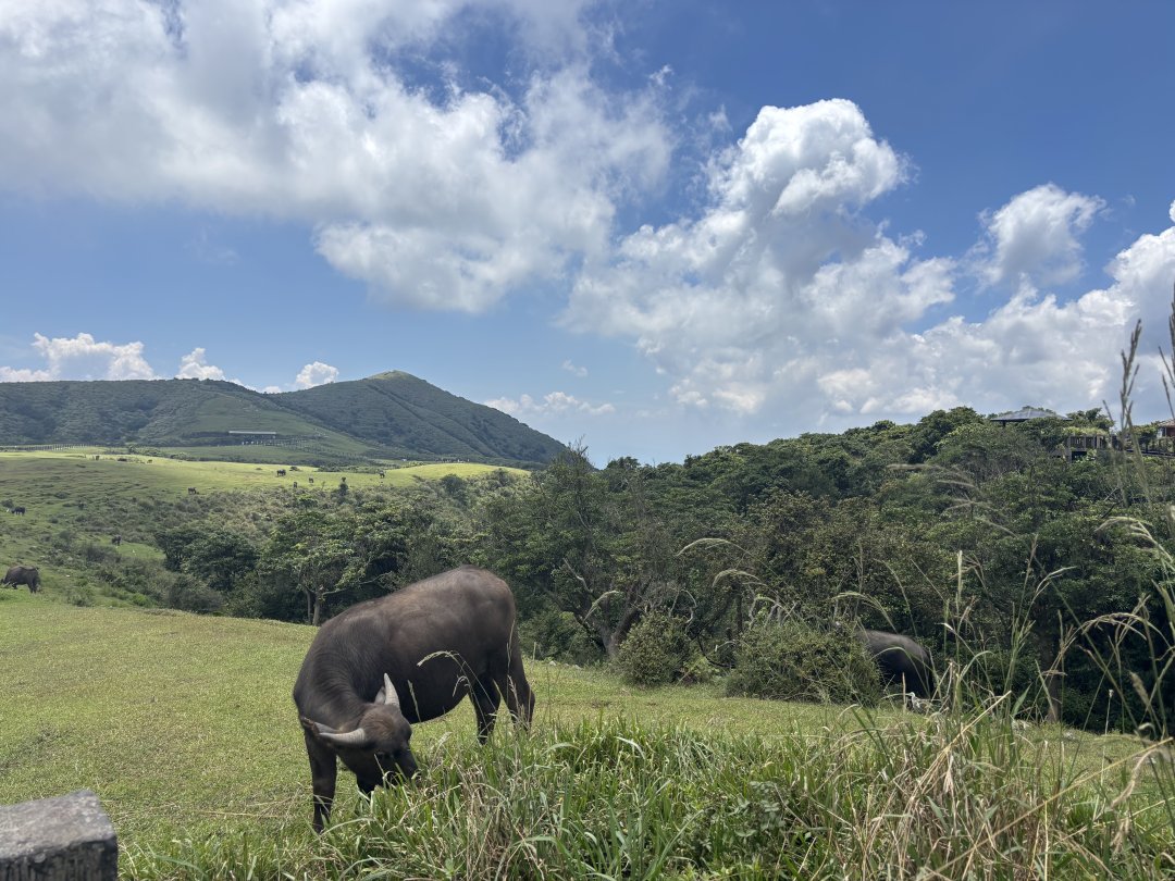 BrianHuntkele's tweet photo. 週日生活隨記
#台北捷運 #陽明山 https://t.co/8jBne3hRpV