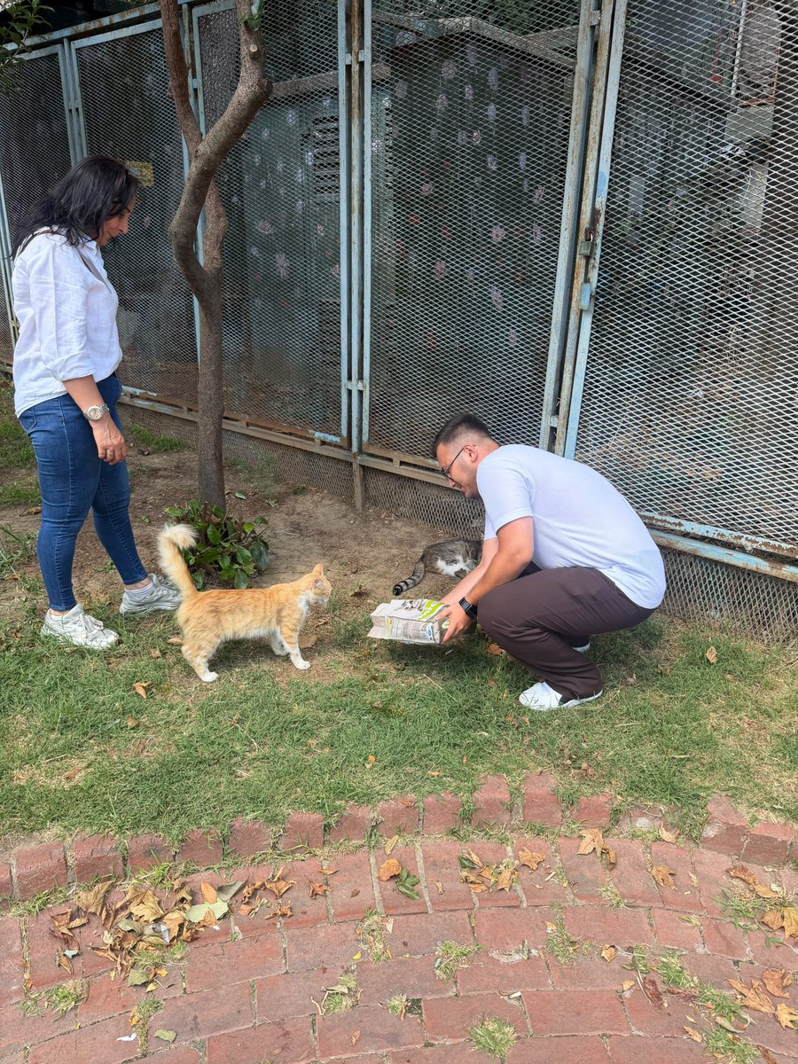 PusulaPlatformu's tweet photo. 🐾 Bir kap mama, bir cana umut...

Sokak dostlarımız için mama dağıtımımızı gerçekleştirdik. İyilik paylaştıkça çoğalır. 💙

#PusulaPlatformu #SokakHayvanları https://t.co/UTCFdKnFnU