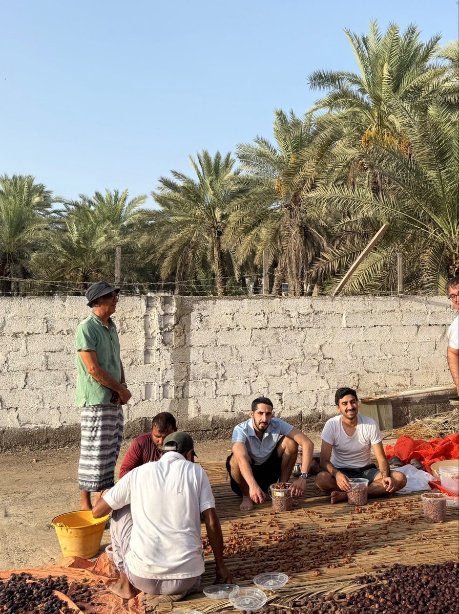 murshid1995's tweet photo. عظيمة هي النخلة، مضرب مثل في العطاء والاستغناء في آن واحد، منها وبها، تتسلقها باستخدام «الحابول» المصنوع من ليفها، ثم تجني الثمر وتضعه في «القفير» المصنوع من سعفها، ثم تنثر الثمر لمعالجته على «الدعن» المصنوع من أغصانها، ثم بعد ذلك تخزنه في «الخصفة» المصنوعة من سعفها.
كان جدي من حبه وتقديره للنخلة يقول: «لو كان بإمكاني زراعتها في محاجر عيني لفعلت».
