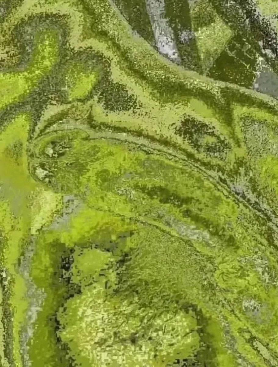an_ming1's tweet photo. You want matcha🍵?? https://t.co/40TjHUhpci