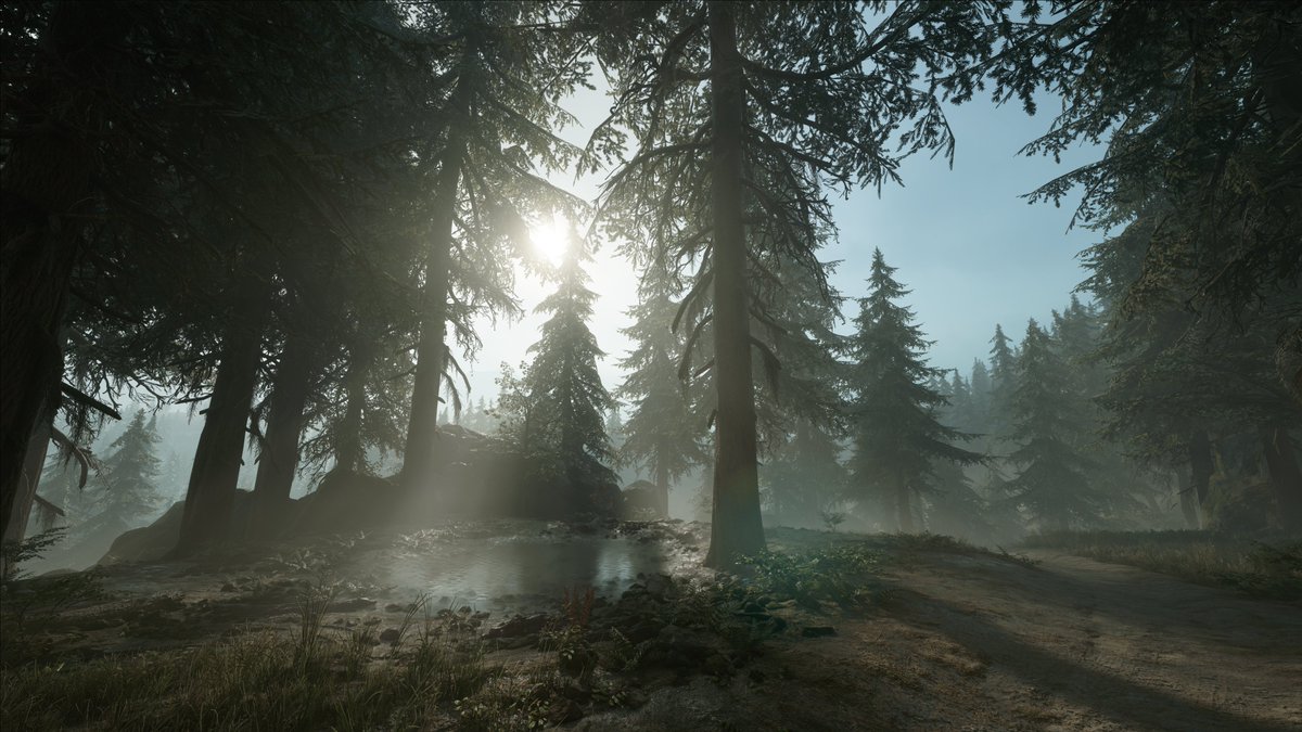 Henvak's tweet photo. #DaysGone https://t.co/v9Cw4sWa8W