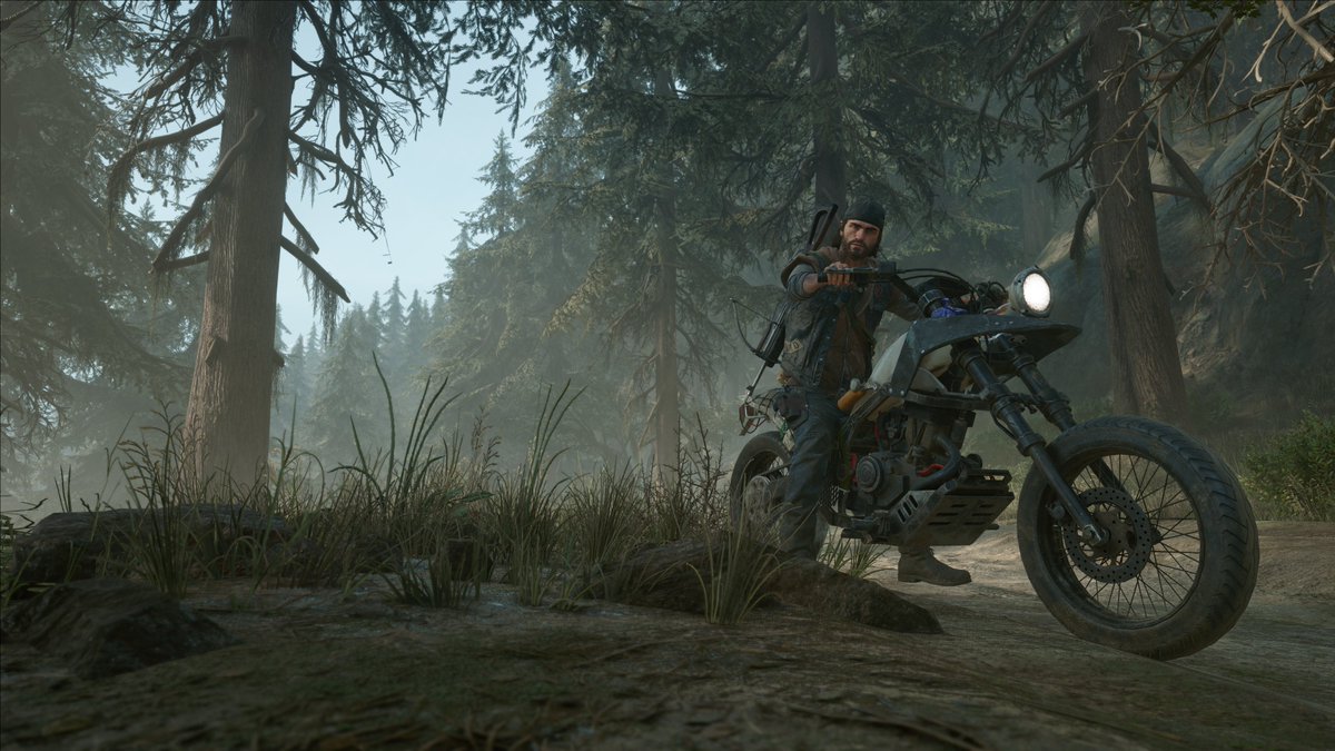 Henvak's tweet photo. #DaysGone https://t.co/v9Cw4sWa8W