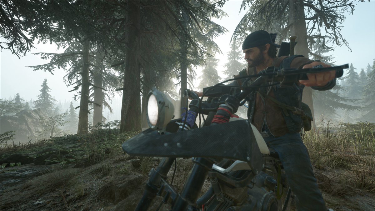 Henvak's tweet photo. #DaysGone https://t.co/v9Cw4sWa8W