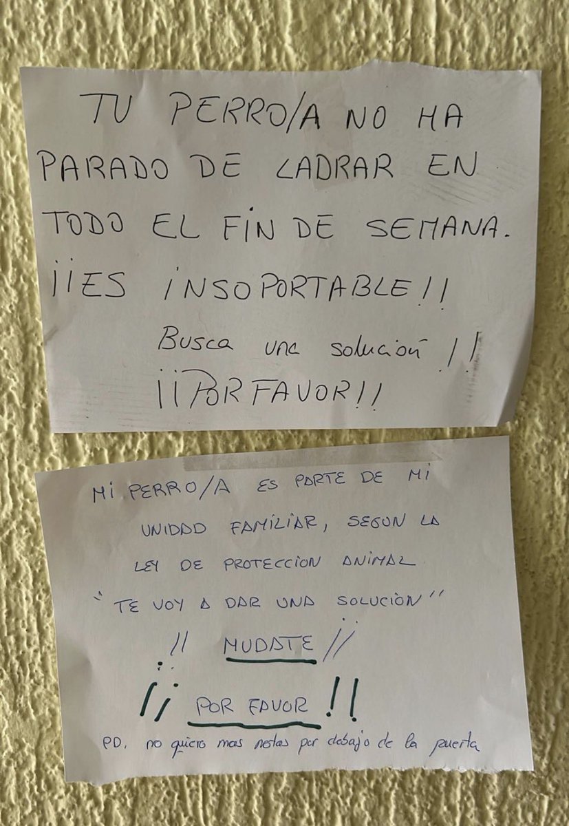 HippiesConOsde's tweet photo. Si tú perro es parte de la familia no lo dejes solo todo el finde. https://t.co/7QkYThdjEo
