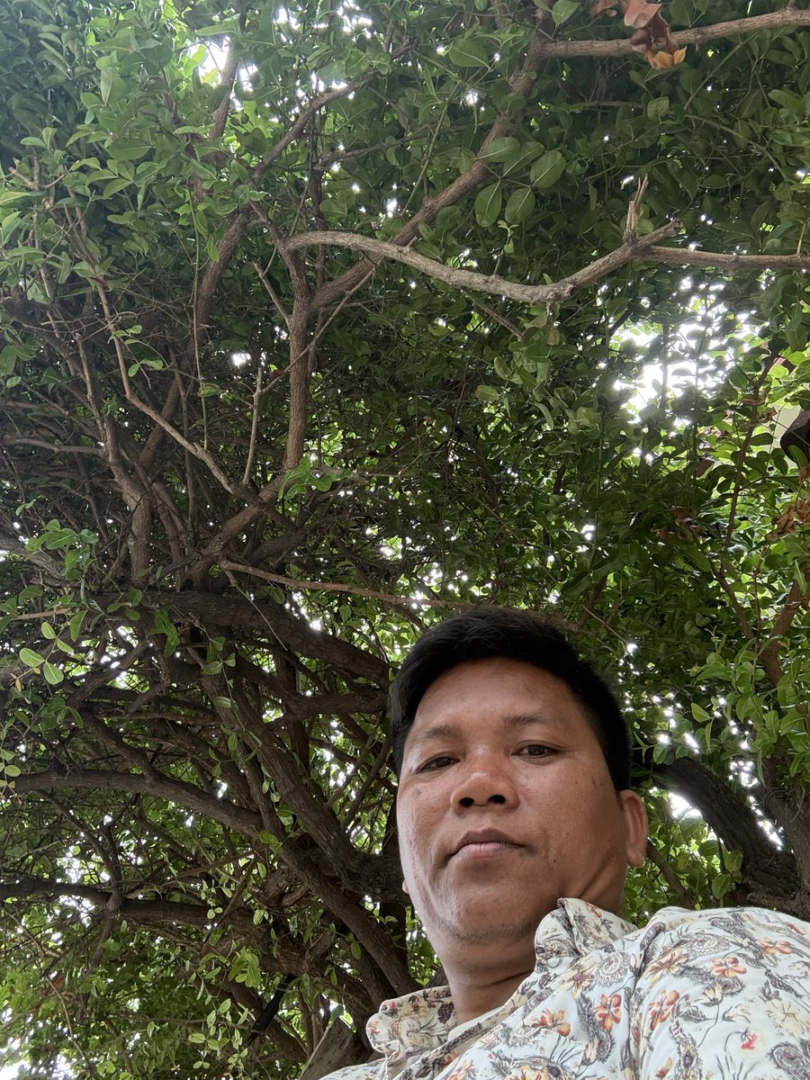 mech_samnang's tweet photo. ម្នាក់ឯង https://t.co/3cXtzrSBji