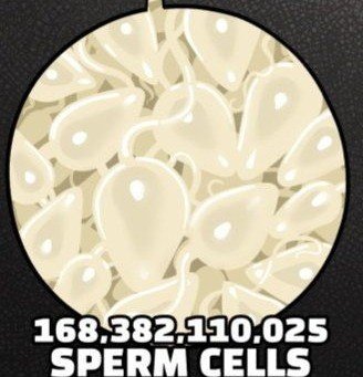 Bullisms_'s tweet photo. ᅠ
𝗗id you know that 𝙏𝙃𝙄𝙎 bullshark has an active sperm count of 𝟷𝟼𝟶 billion plus? Your insides will be splattered by a entire wave of 𝘼𝙉𝙂𝙍𝙔 &amp; 𝘼𝙂𝙂𝙍𝙀𝙎𝙎𝙄𝙑𝙀 sperm.

𝗪hy do you think her balls is always 𝙁𝙐𝙇𝙇?
ᅠ https://t.co/T6edBvKnyr