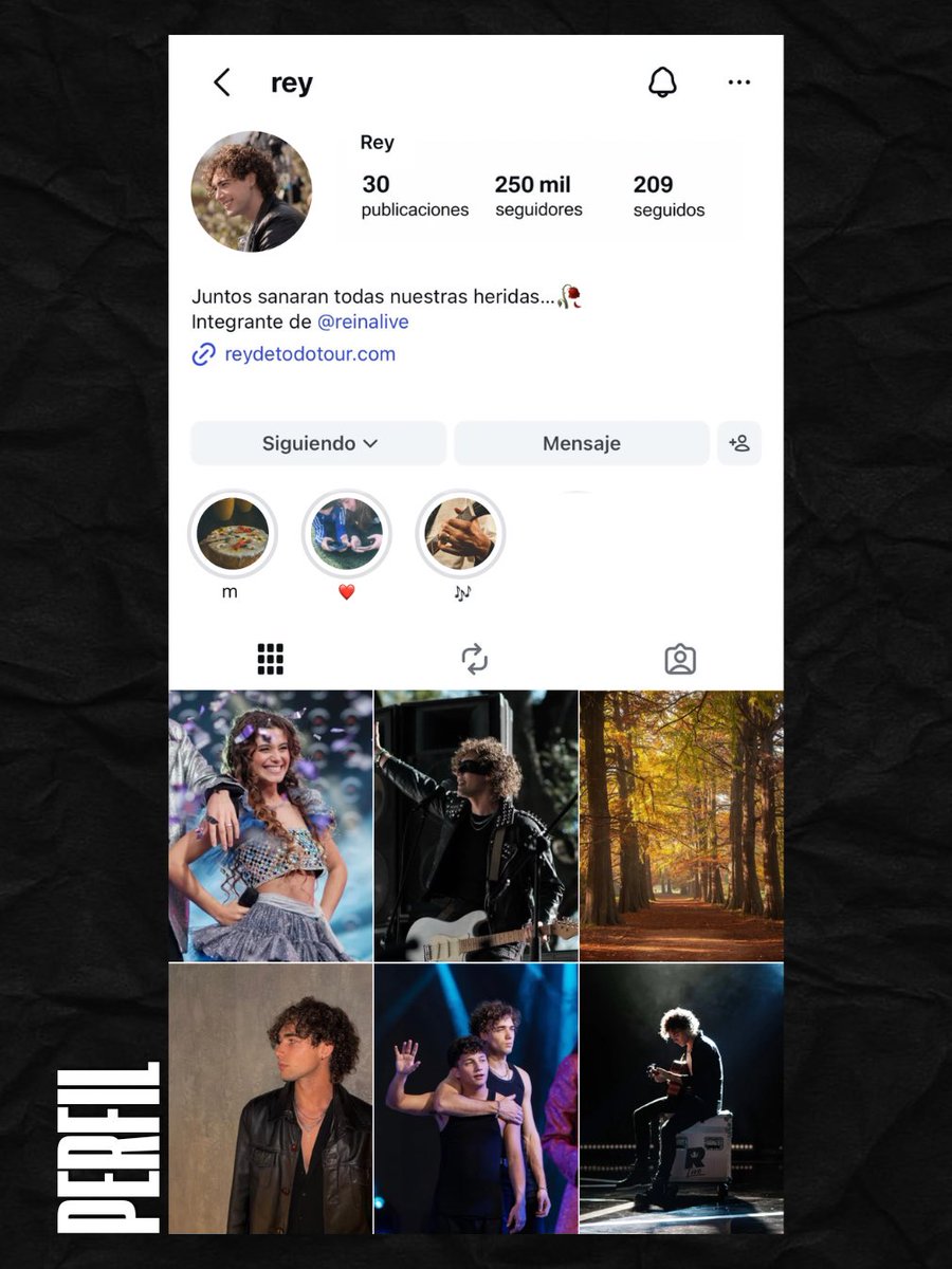 dailybelmonte's tweet photo. El Instagram de Rey by @dailybelmonte 👑 

— Nos quedamos con ganas de ver el perfil de Rey en la dinámica de la cuenta oficial de la serie, así que hicimos nuestra versión❤️‍🔥 https://t.co/rPji9LpACC
