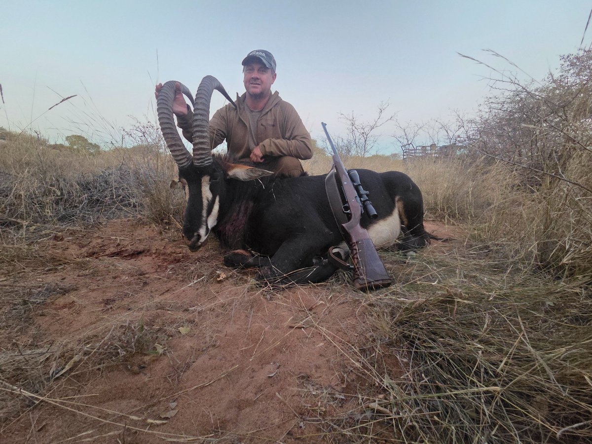 springs76's tweet photo. Starting off a good hunt in south Africa hunt https://t.co/U4NdNnhhU1