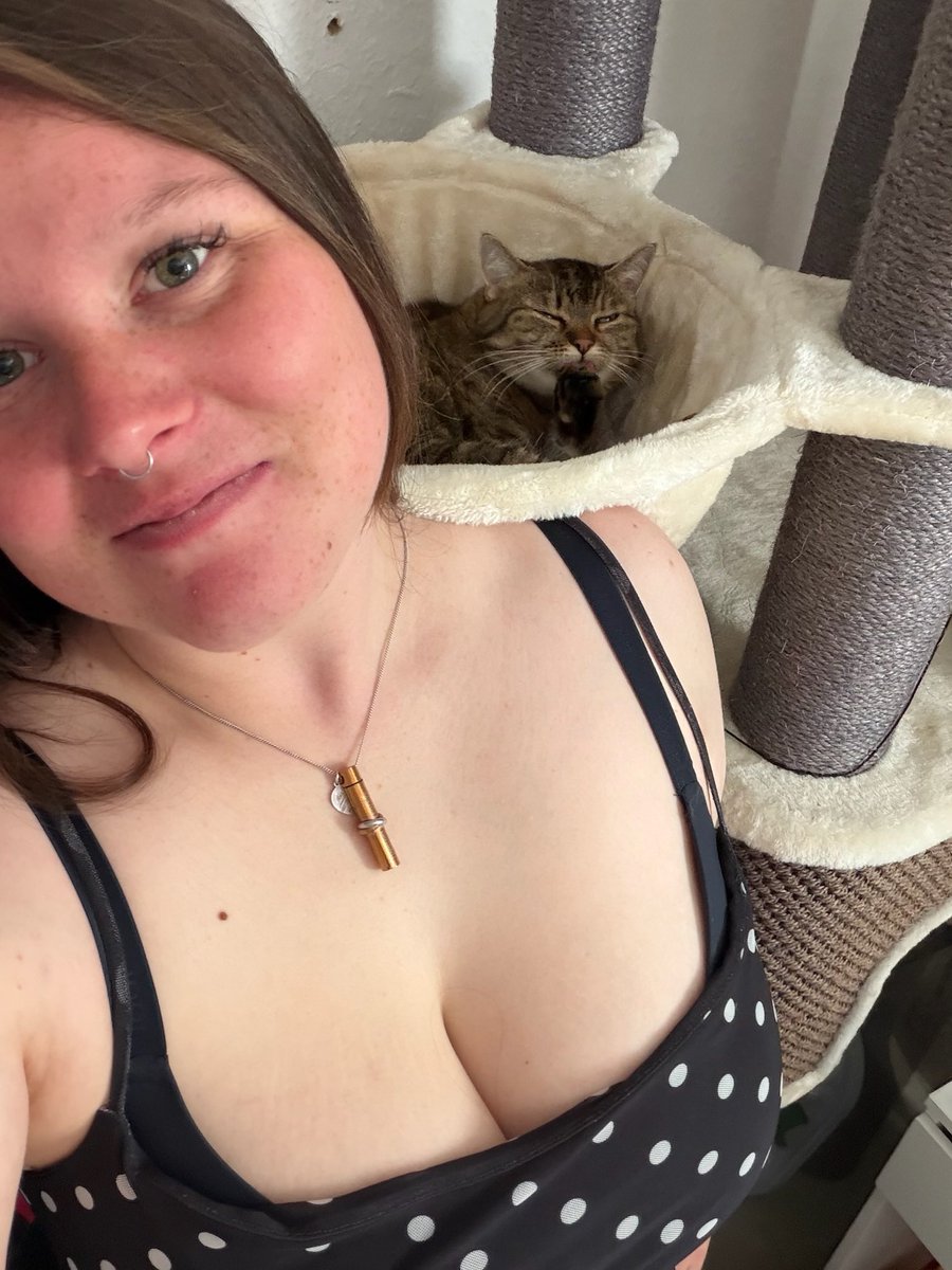 maddychuberry10's tweet photo. Do you love puss- I mean cats?😹 https://t.co/9YOJaiJcgj