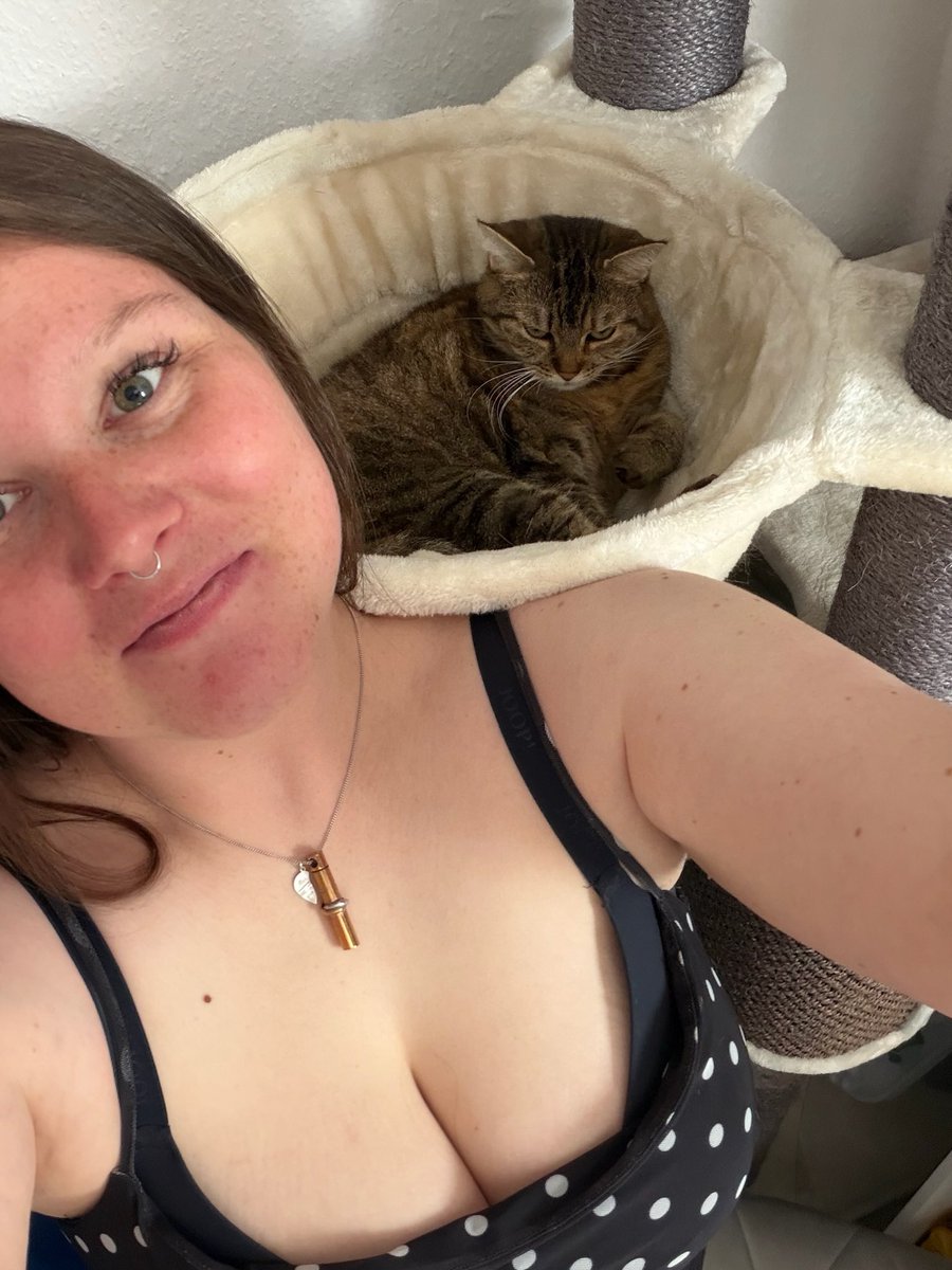 maddychuberry10's tweet photo. Do you love puss- I mean cats?😹 https://t.co/9YOJaiJcgj