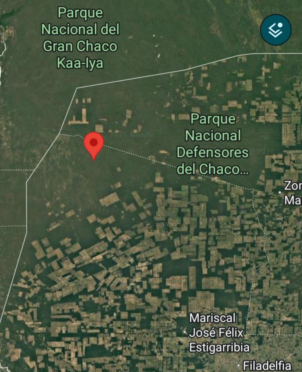 AlamV44355's tweet photo. Qué  locura como estan depredando el Chaco paraguayo!
La imagen satélital muestra como sólo 2 parques se están salvando.
Defensores del Chaco y Médanos. https://t.co/zM8W1hIZm6