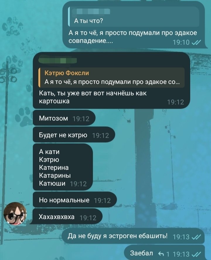 Catrew tweet media