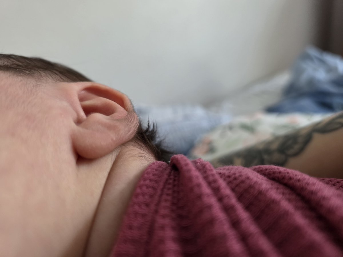 _backrolls's tweet photo. Newborn hair reminds me of baby birds down feathers 🥹 https://t.co/b87rkl68r9
