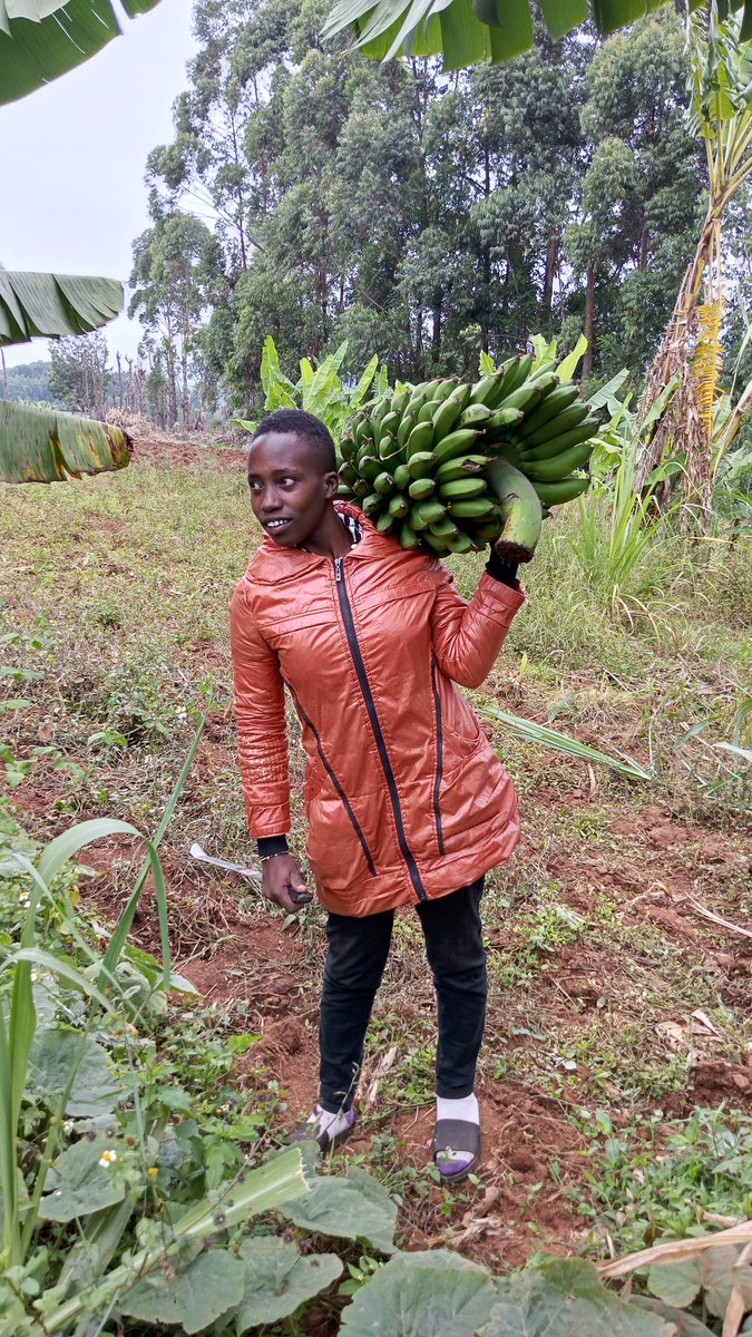 Siimiike_'s tweet photo. Parents: mbona hutaki kukatia wasichana rika yako🥺

Meanwhile wasichana rika yangu👇😂😂💀 https://t.co/AwwNG4kBio