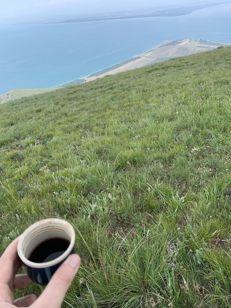 PonBaron290323's tweet photo. Scaled a mountain at random, around 2,5 km higher than my previous record (I am not a mountain lion, this was a spur of the moment thing our trip guide decided to spend the first half of the day on lol)
Found a bunker at the top, alien flora. Had tea there, slept so well after. https://t.co/xyMcXniixG