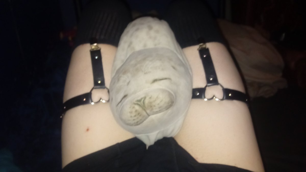 123ORCA_'s tweet photo. God im soo lonely😭😭 at least im cute ig lol 🩶🤍🖤 #femboy #thighs #plush #sad https://t.co/tmdrfycrOz